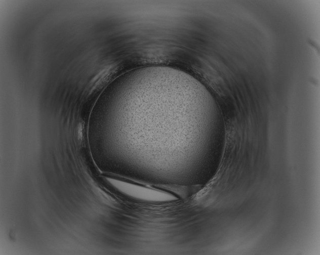 X0000091900166200709191244