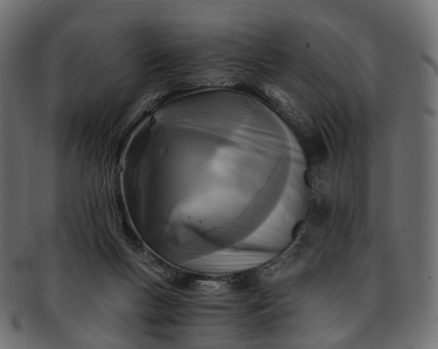 X0000091900167200709191244