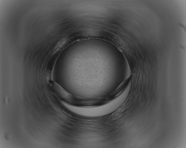 X0000091900168200709191244