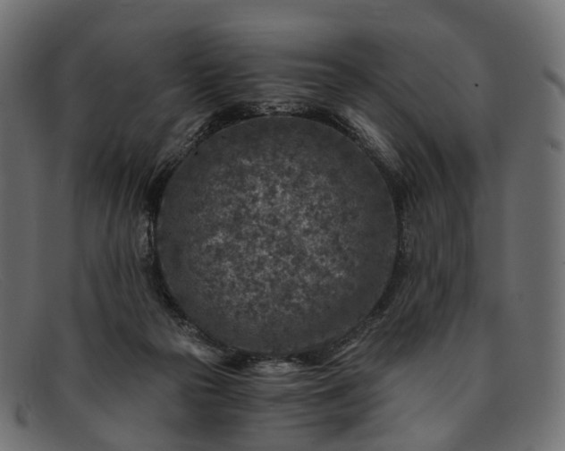 X0000091900169200709191244