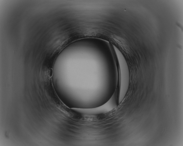 X0000091900172200709191244