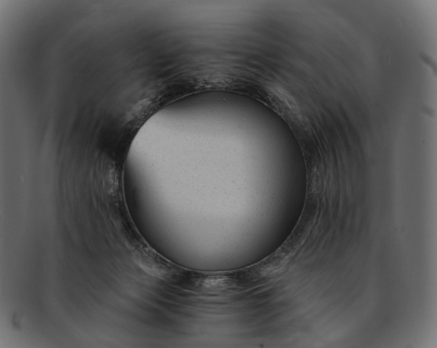 X0000091900173200709191244