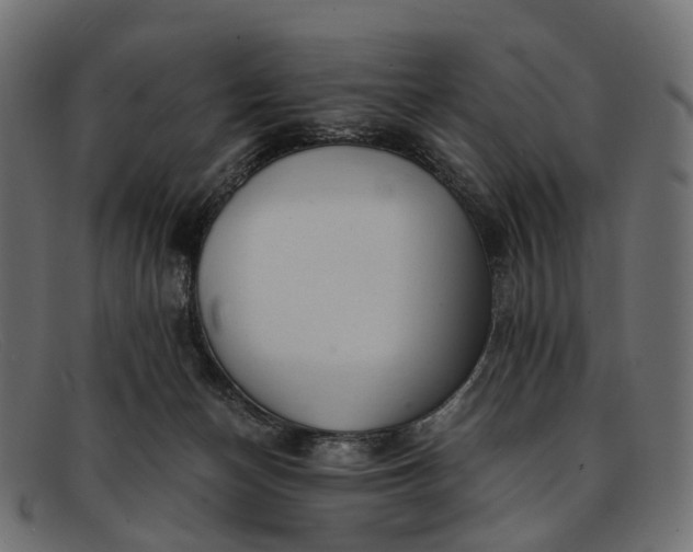 X0000091900174200709191244