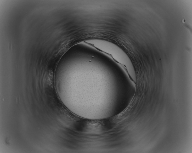 X0000091900175200709191244