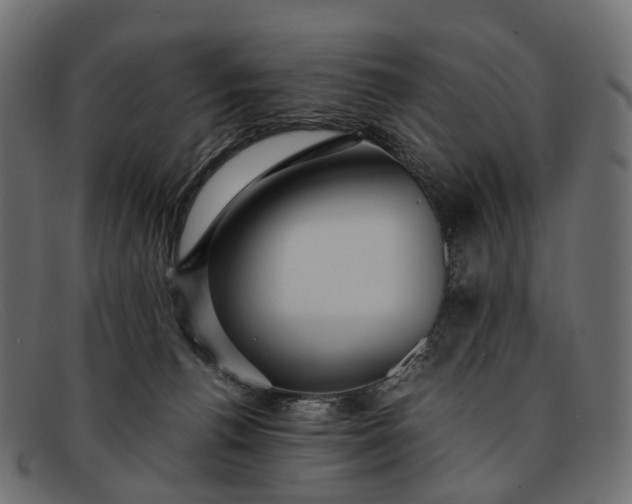 X0000091900176200709191244