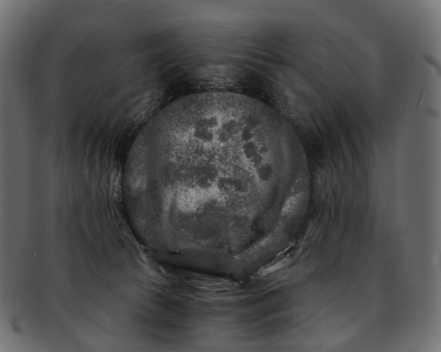 X0000091900177200709191244