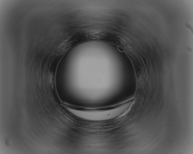 X0000091900178200709191244