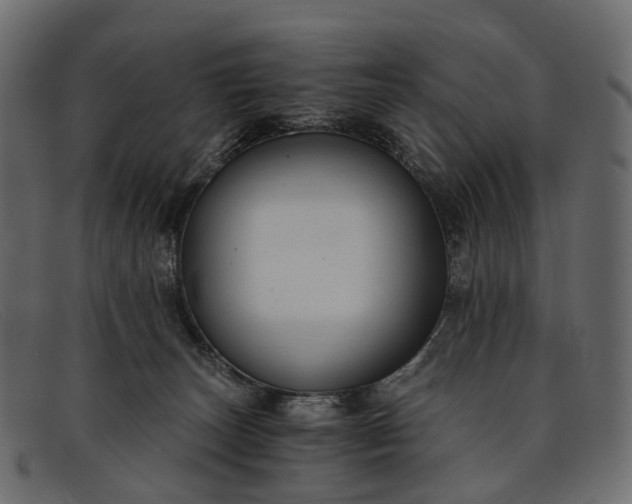 X0000091900179200709191244