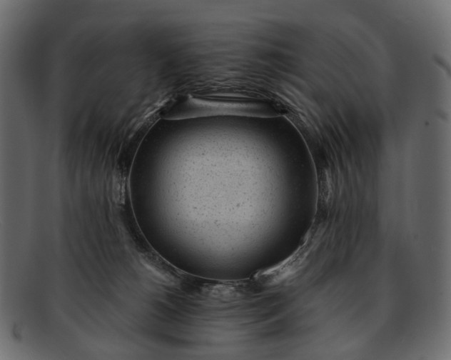 X0000091900180200709191244