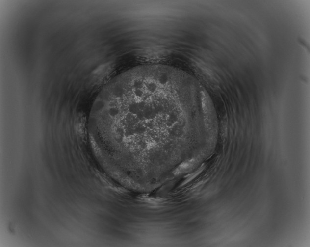 X0000091900181200709191244