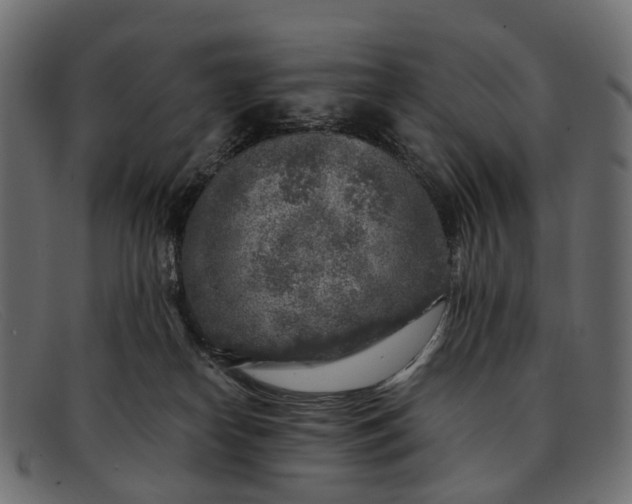 X0000091900182200709191244