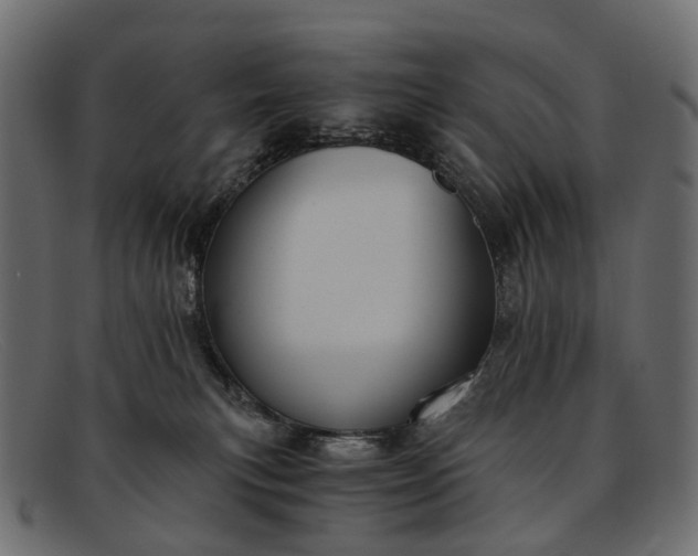 X0000091900183200709191244