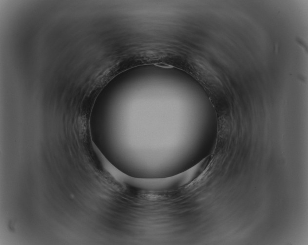 X0000091900184200709191245