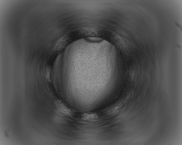 X0000091900185200709191245