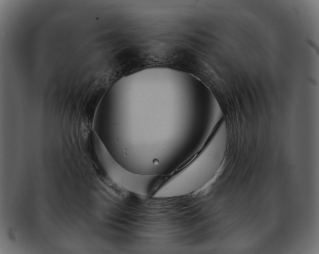 X0000091900186200709191245