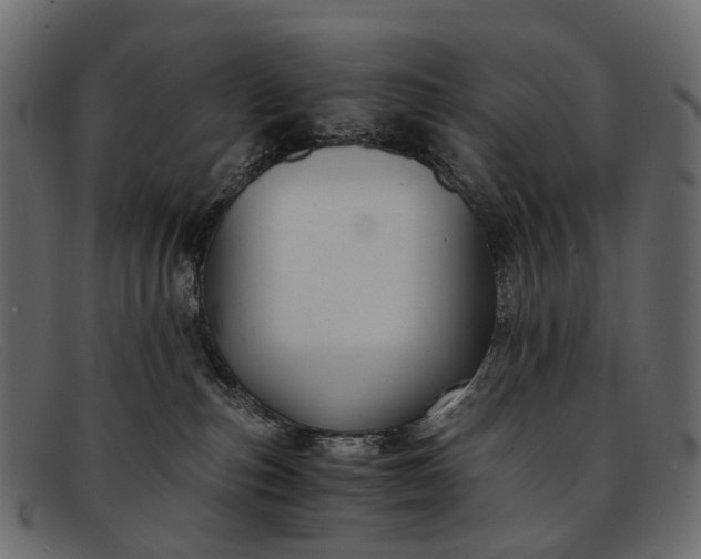 X0000091900187200709191245