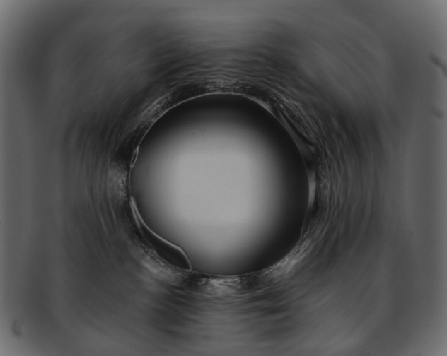 X0000091900188200709191245