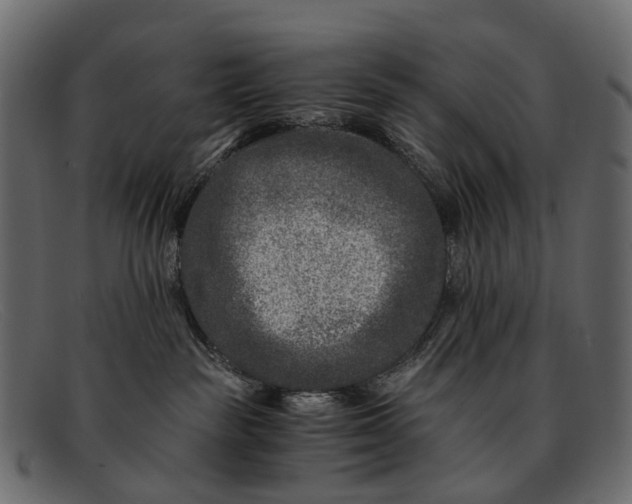 X0000091900189200709191245