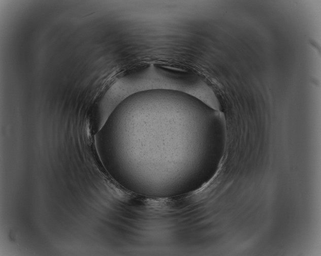 X0000091900192200709191245