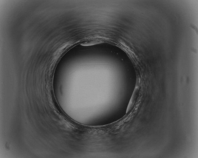 X0000091900193200709191244