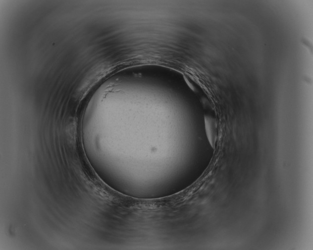 X0000091900194200709191244