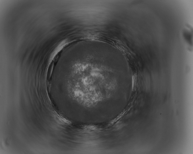 X0000091900195200709191244