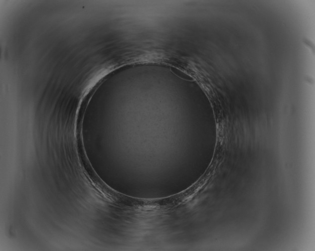 X0000091900196200709191244