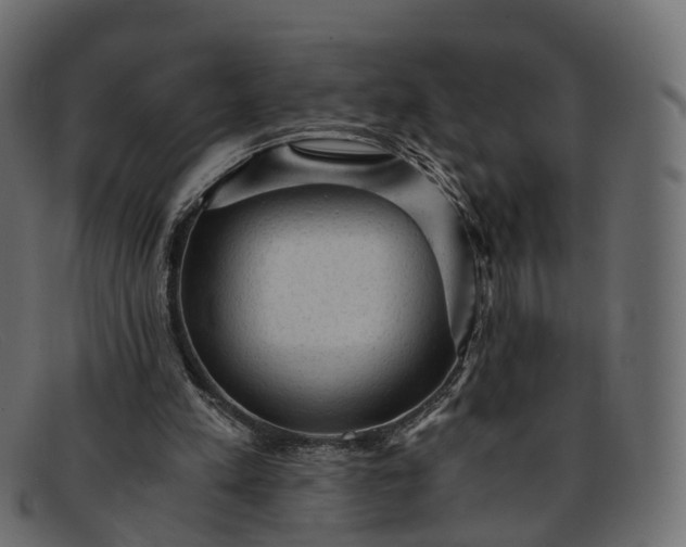 X0000091900197200709191244