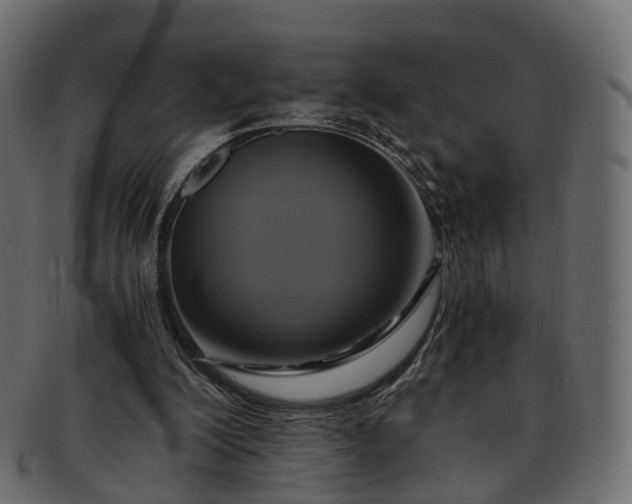 X0000091900200200709191244