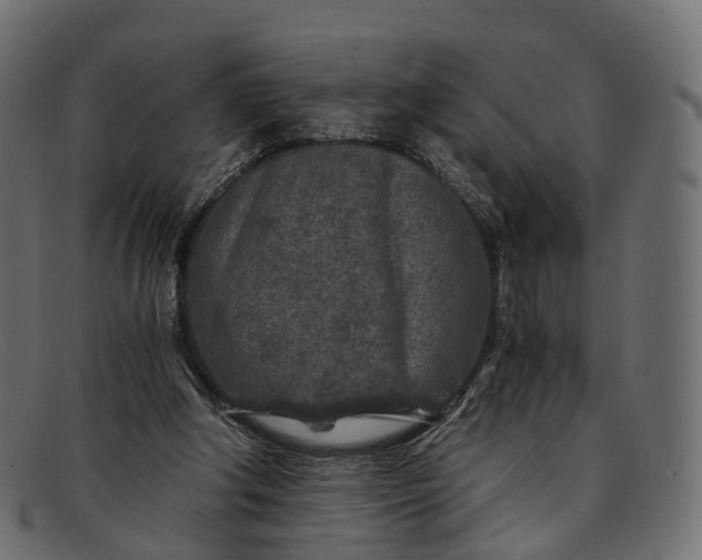 X0000091900202200709191244