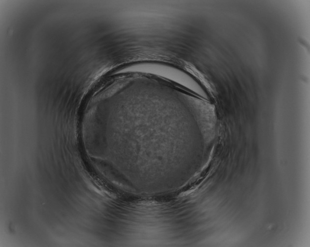 X0000091900203200709191244