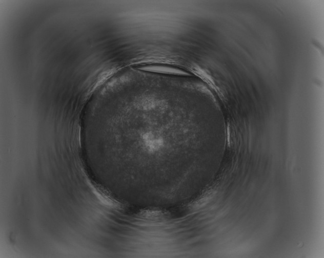 X0000091900205200709191244