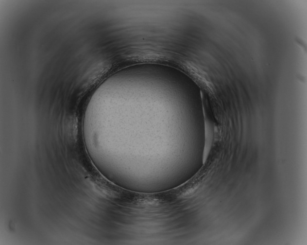 X0000091900206200709191244