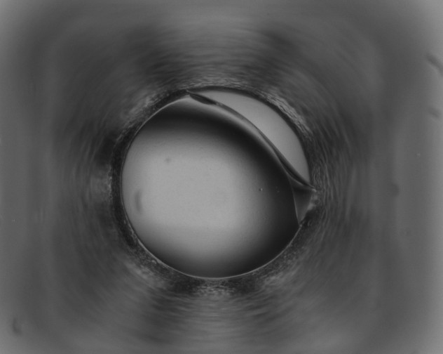 X0000091900207200709191244