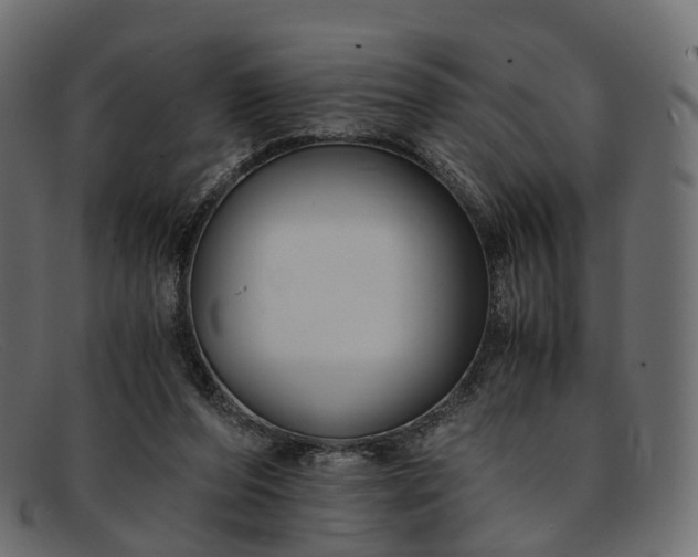 X0000091900208200709191244