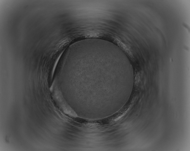 X0000091900209200709191244