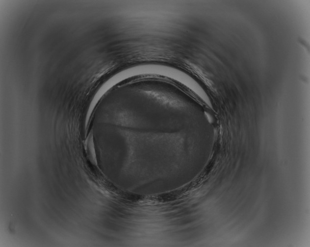 X0000091900211200709191244