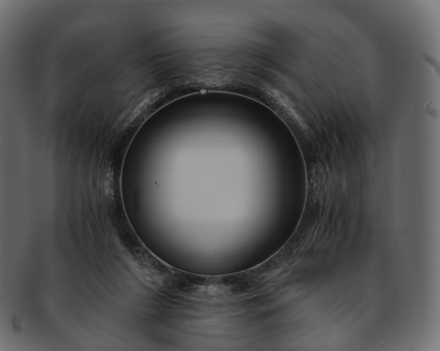 X0000091900212200709191244