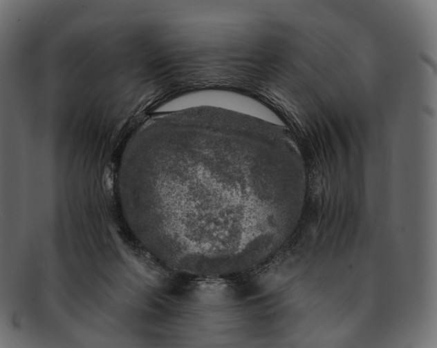 X0000091900214200709191244