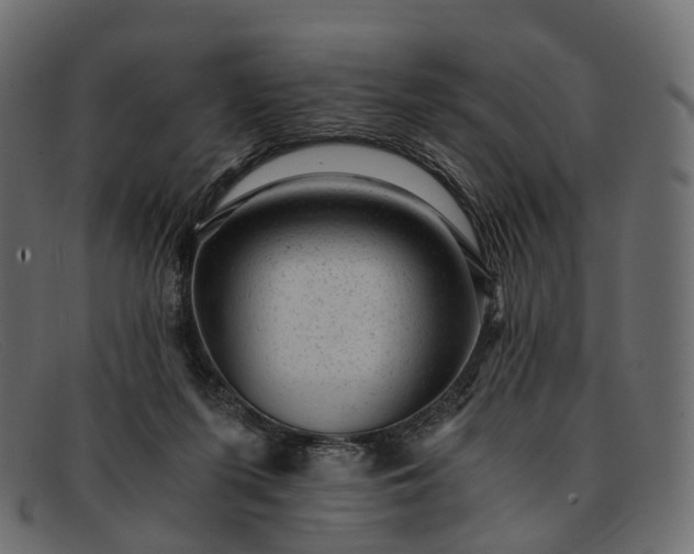 X0000091900215200709191244