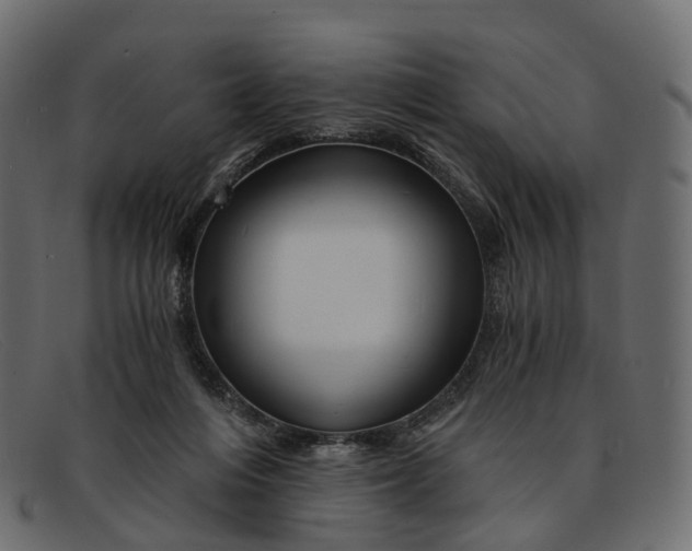 X0000091900216200709191244