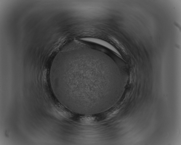 X0000091900217200709191244