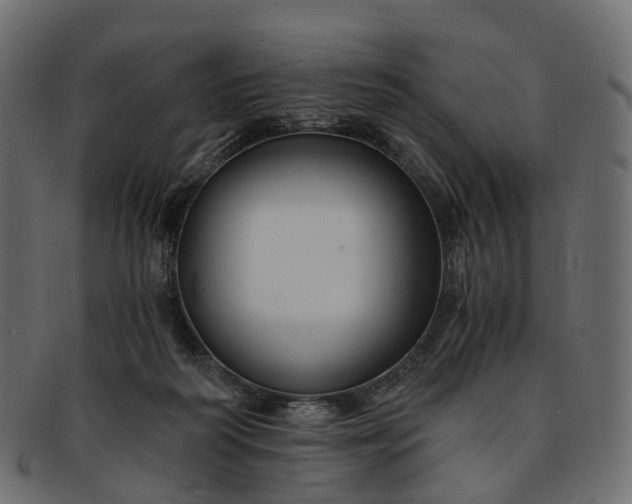 X0000091900218200709191244