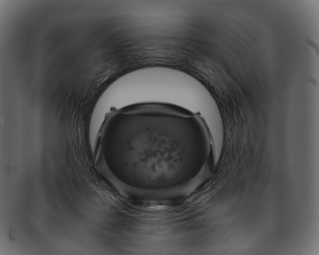 X0000091900219200709191244