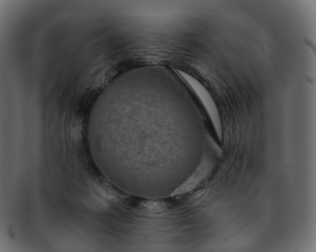 X0000091900221200709191244