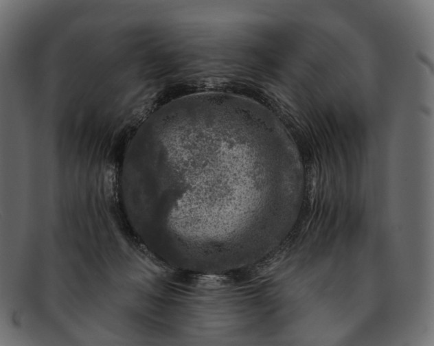 X0000091900222200709191244