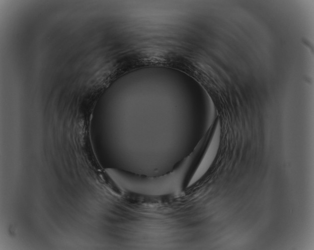 X0000091900223200709191244