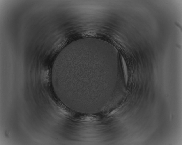 X0000091900224200709191243