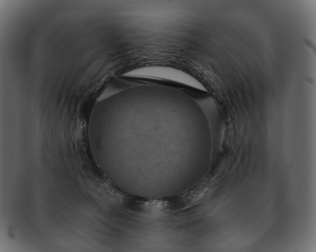 X0000091900225200709191243