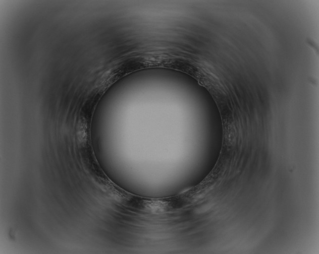 X0000091900226200709191243